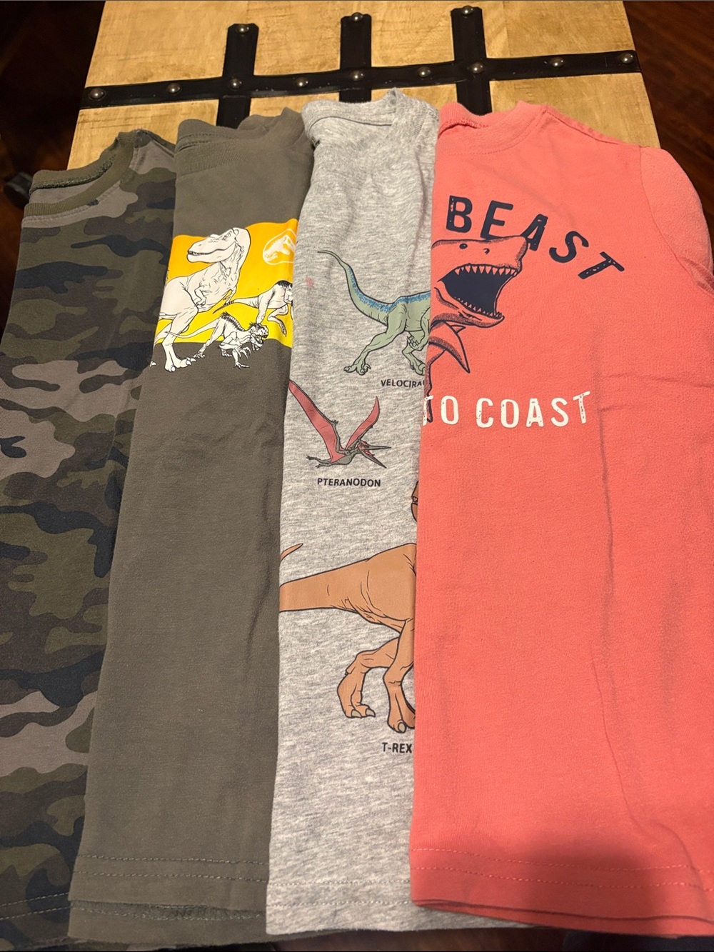 Kids' Dinosaur Graphic Tee - Coral